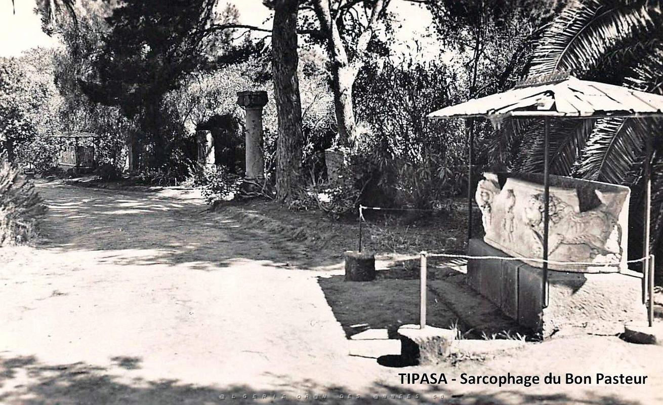 Tipasa - Ruines romaines 42.jpg